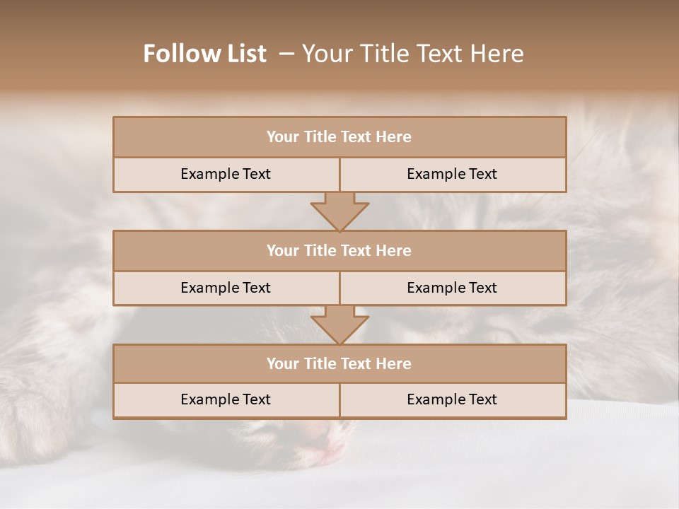 Furry White Mother PowerPoint Template