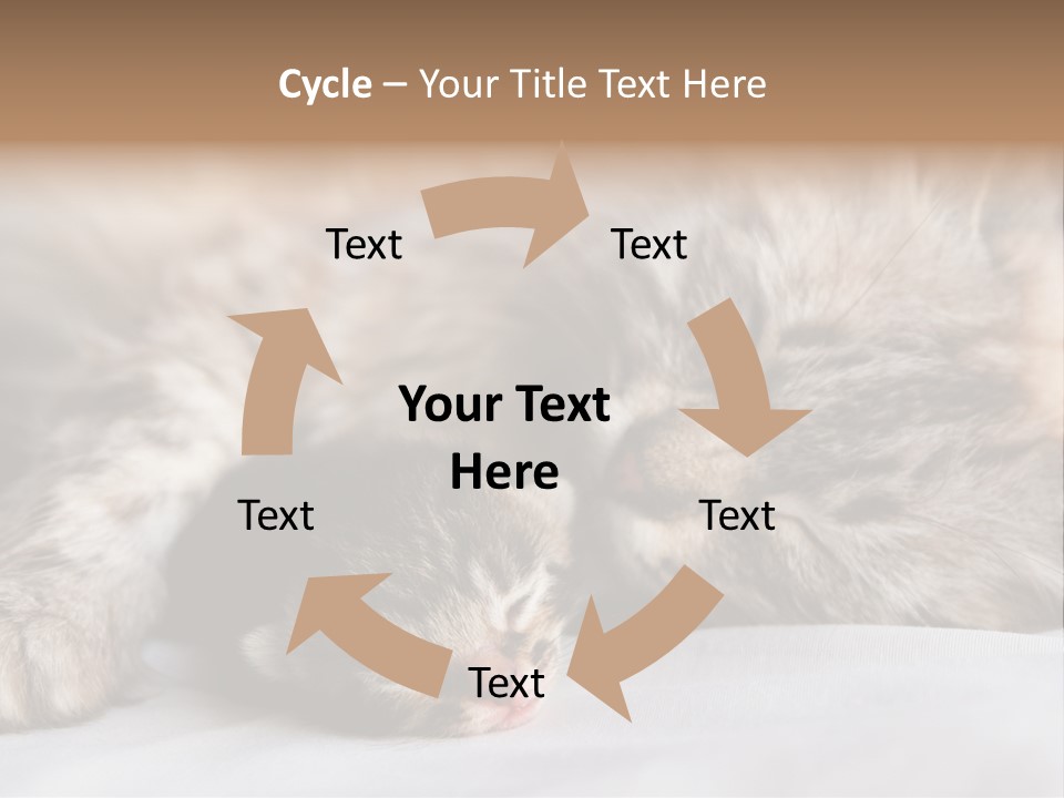 Furry White Mother PowerPoint Template