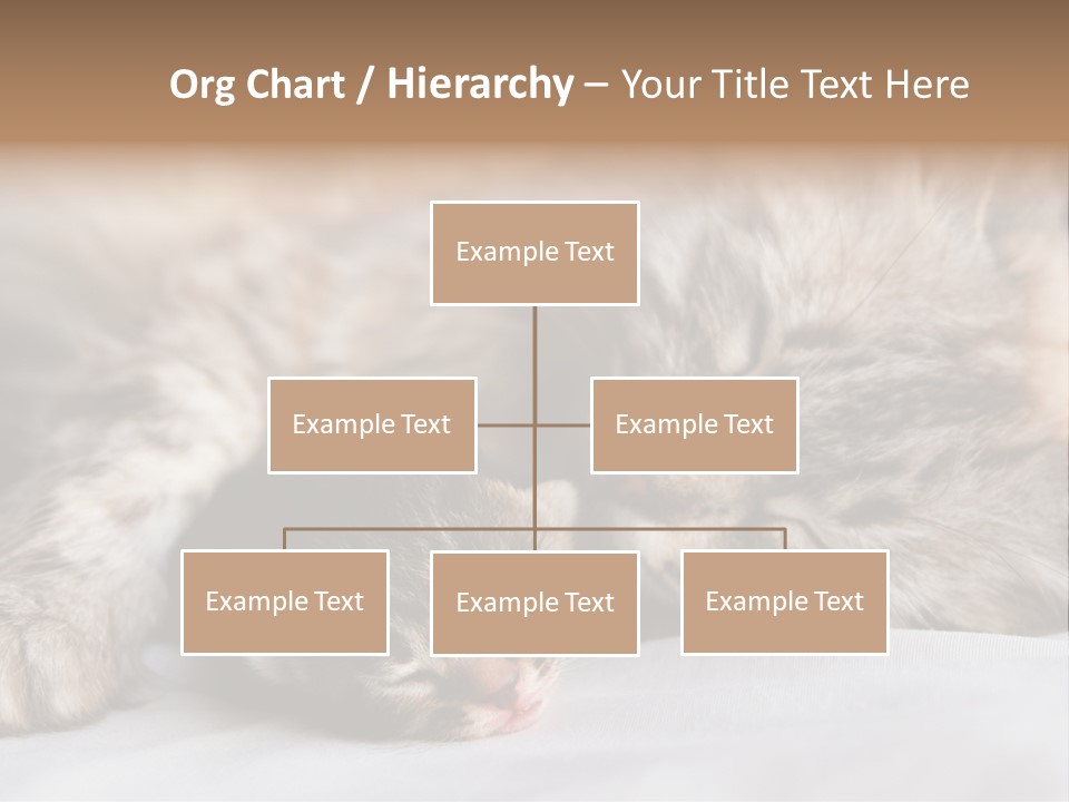 Furry White Mother PowerPoint Template