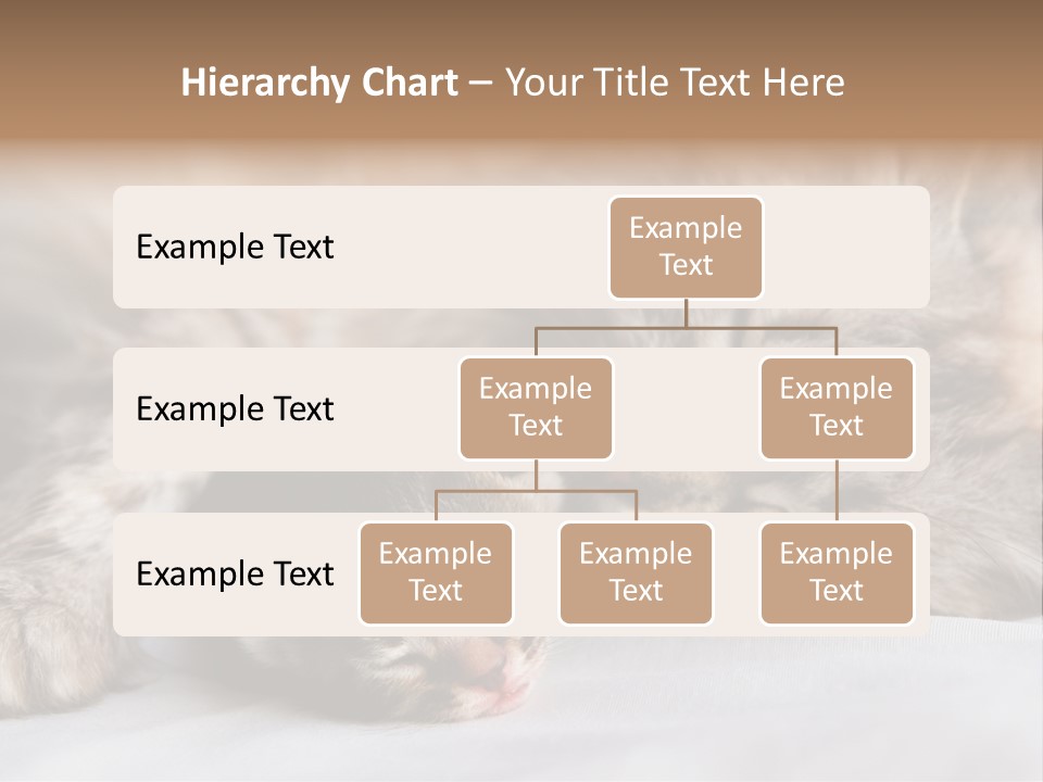 Furry White Mother PowerPoint Template