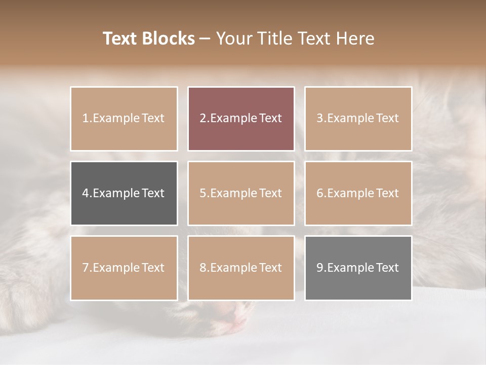 Furry White Mother PowerPoint Template