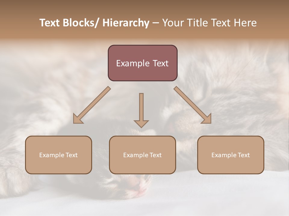 Furry White Mother PowerPoint Template