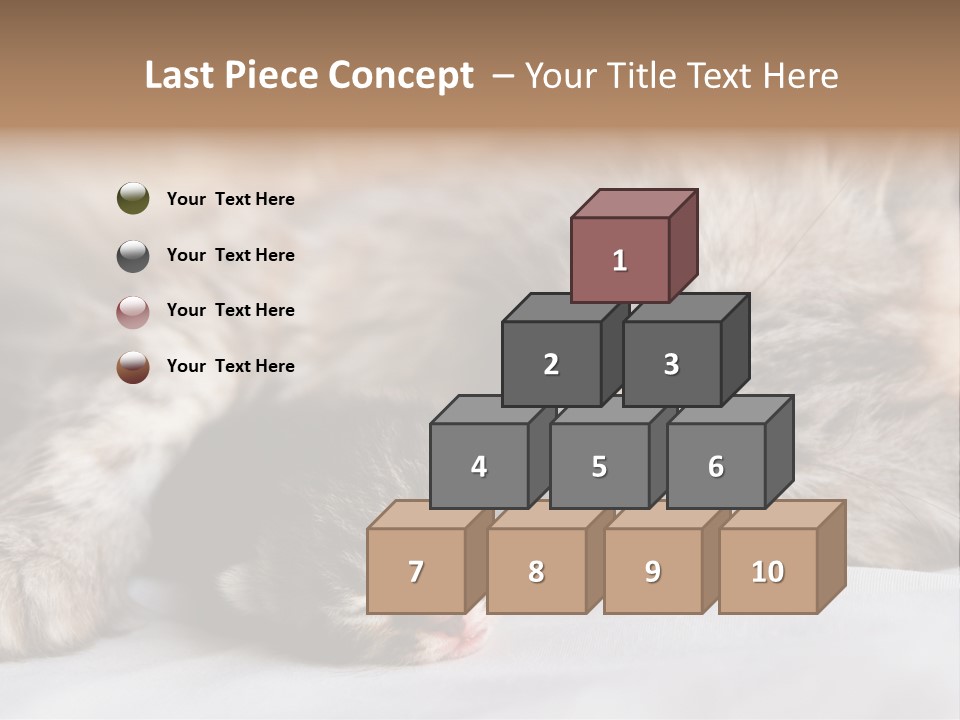 Furry White Mother PowerPoint Template