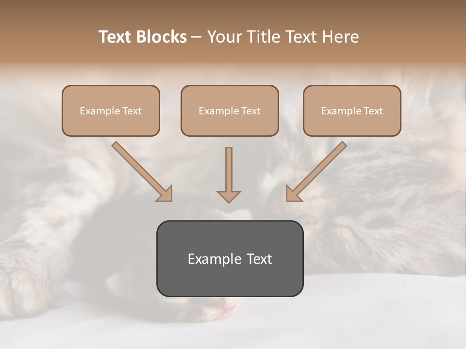 Furry White Mother PowerPoint Template