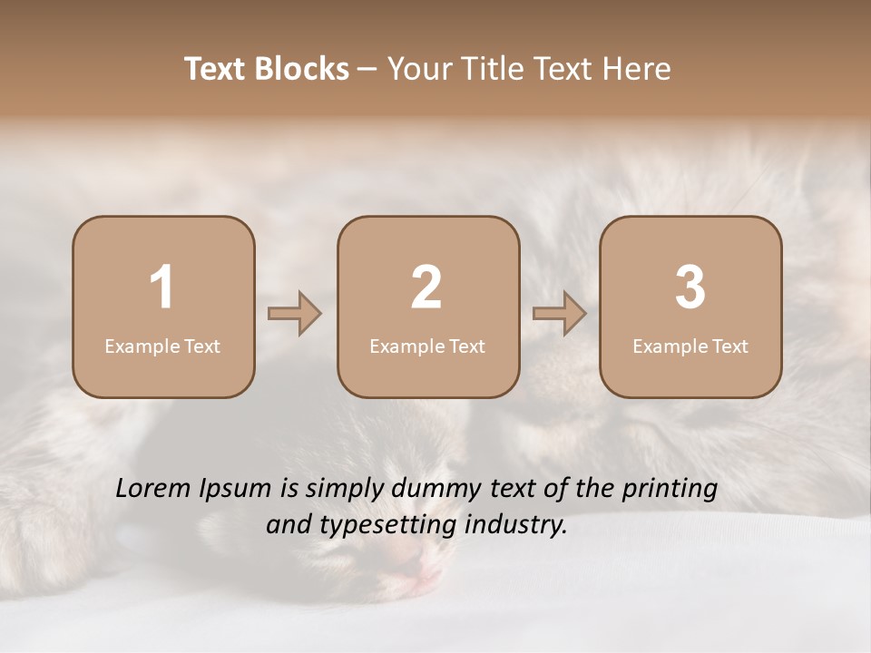 Furry White Mother PowerPoint Template