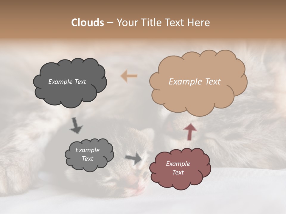 Furry White Mother PowerPoint Template