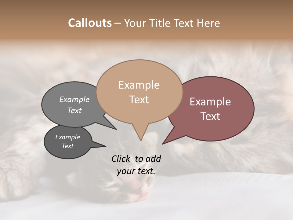 Furry White Mother PowerPoint Template