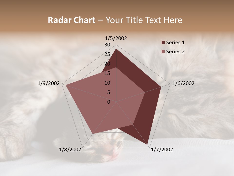 Furry White Mother PowerPoint Template