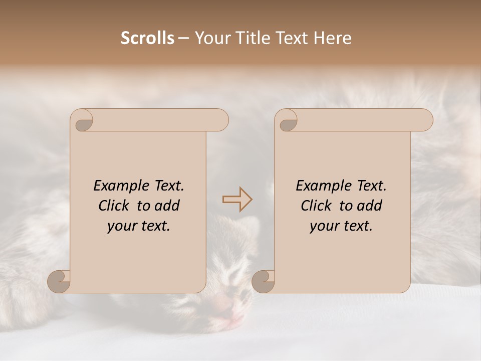 Furry White Mother PowerPoint Template