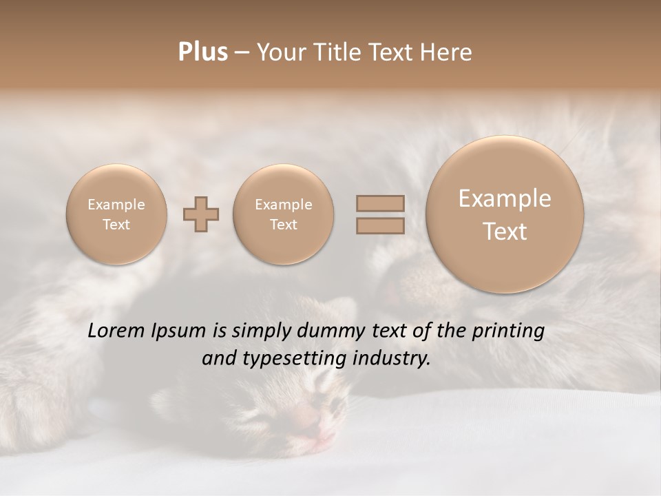 Furry White Mother PowerPoint Template