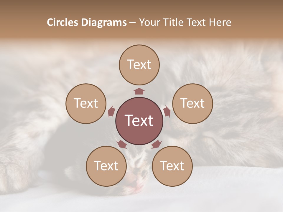 Furry White Mother PowerPoint Template