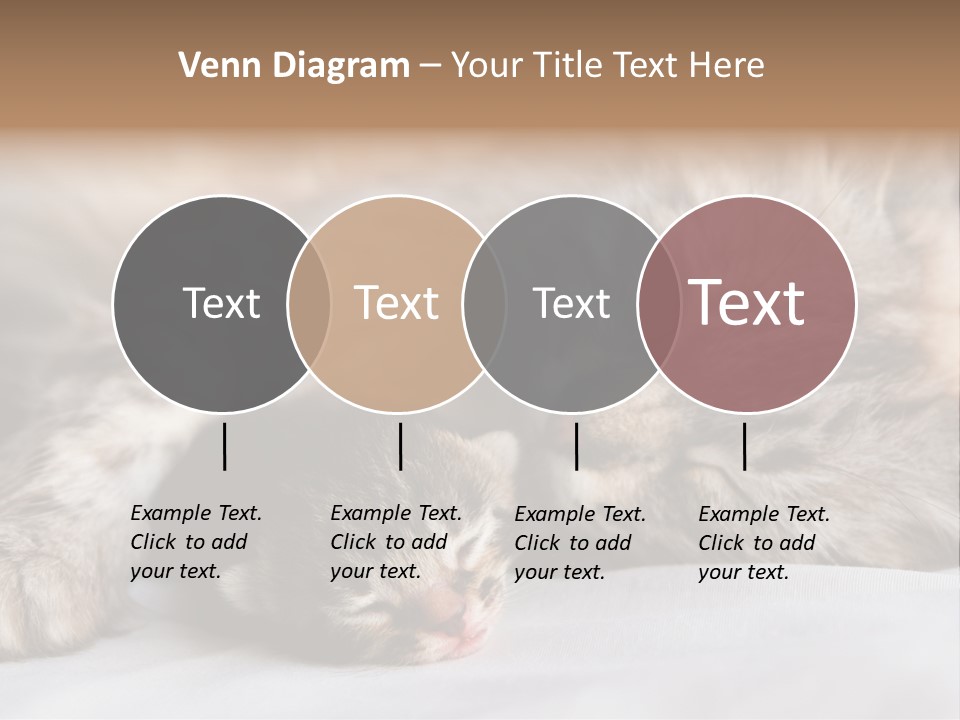 Furry White Mother PowerPoint Template