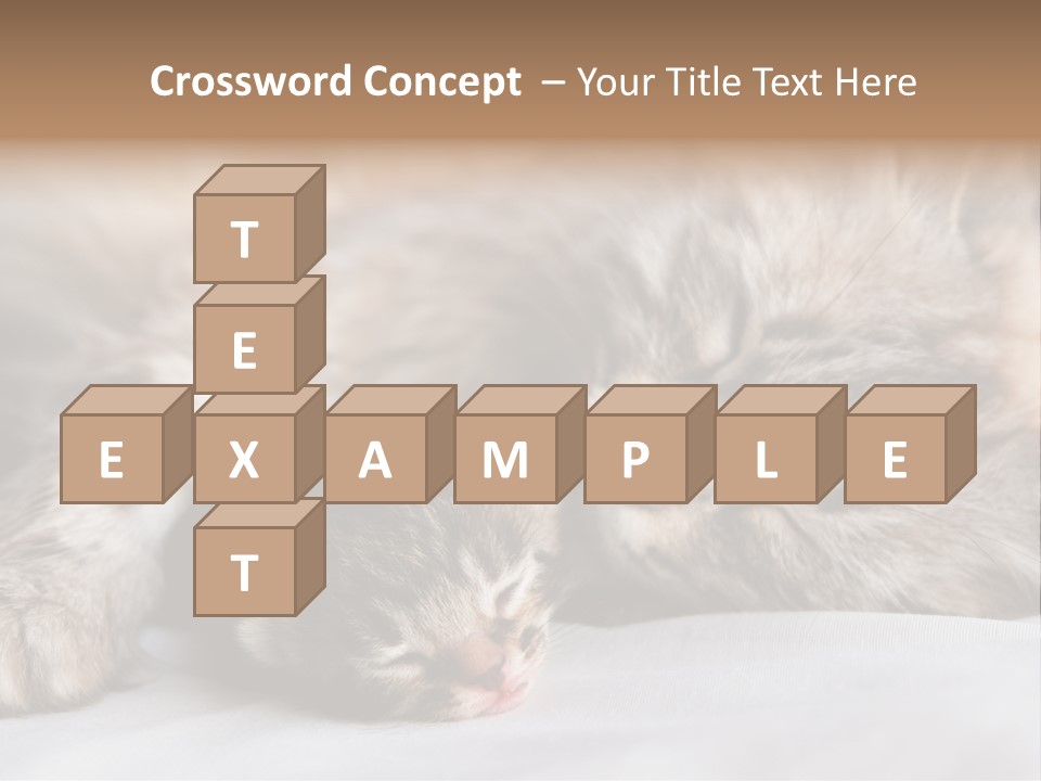 Furry White Mother PowerPoint Template