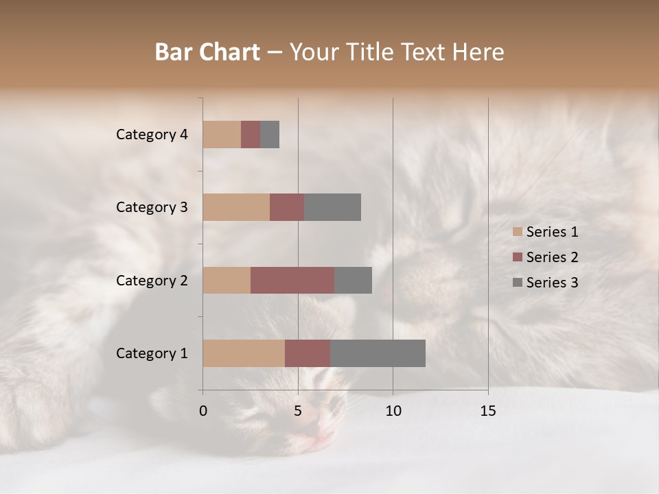 Furry White Mother PowerPoint Template
