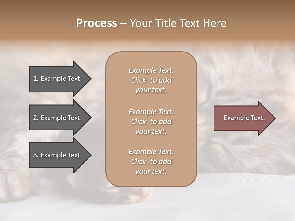 Furry White Mother PowerPoint Template
