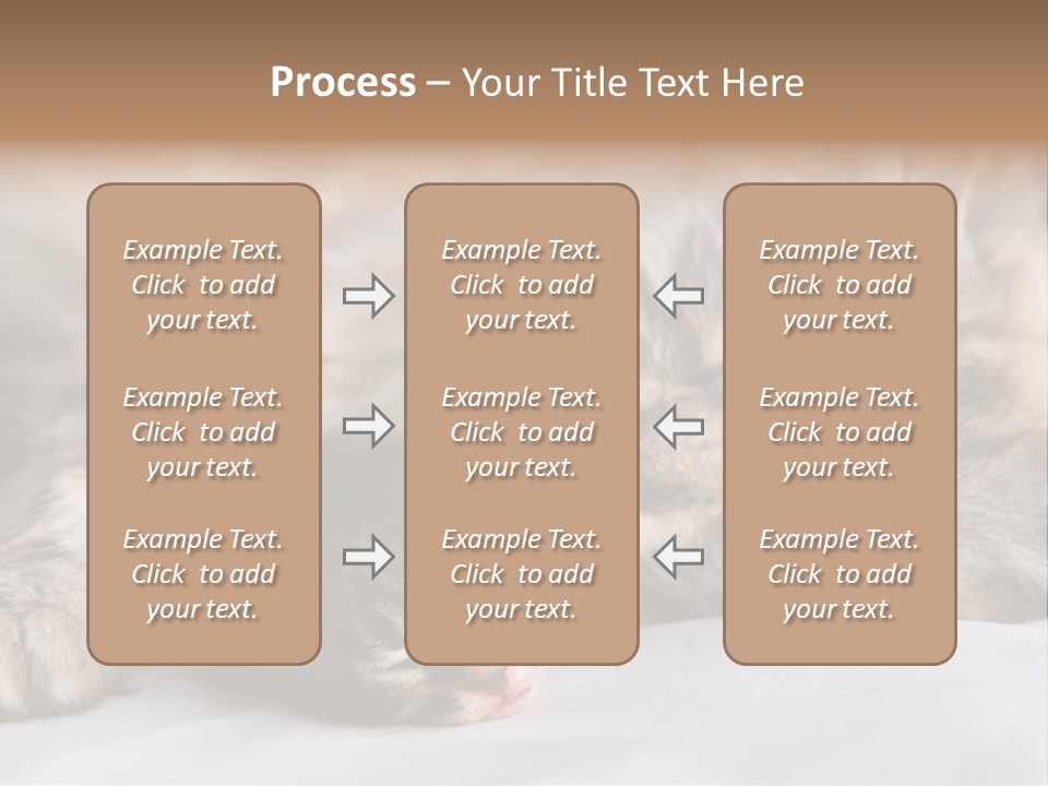 Furry White Mother PowerPoint Template