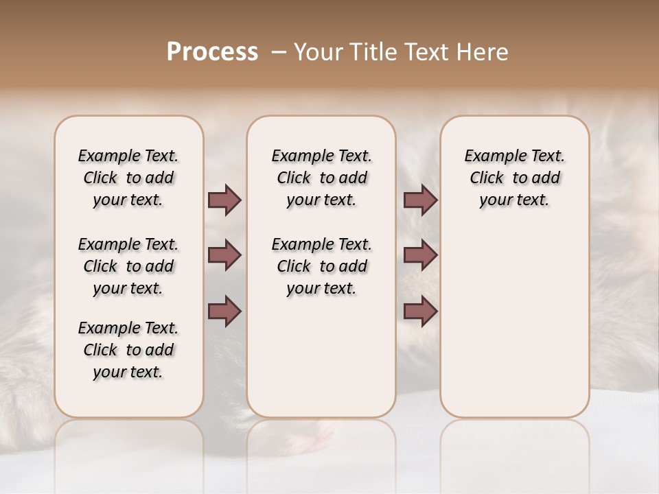 Furry White Mother PowerPoint Template