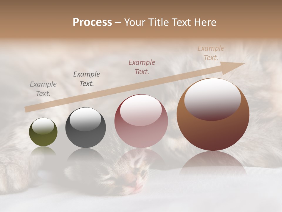 Furry White Mother PowerPoint Template