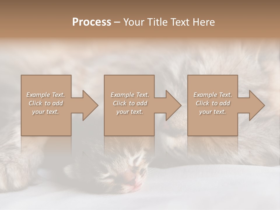 Furry White Mother PowerPoint Template