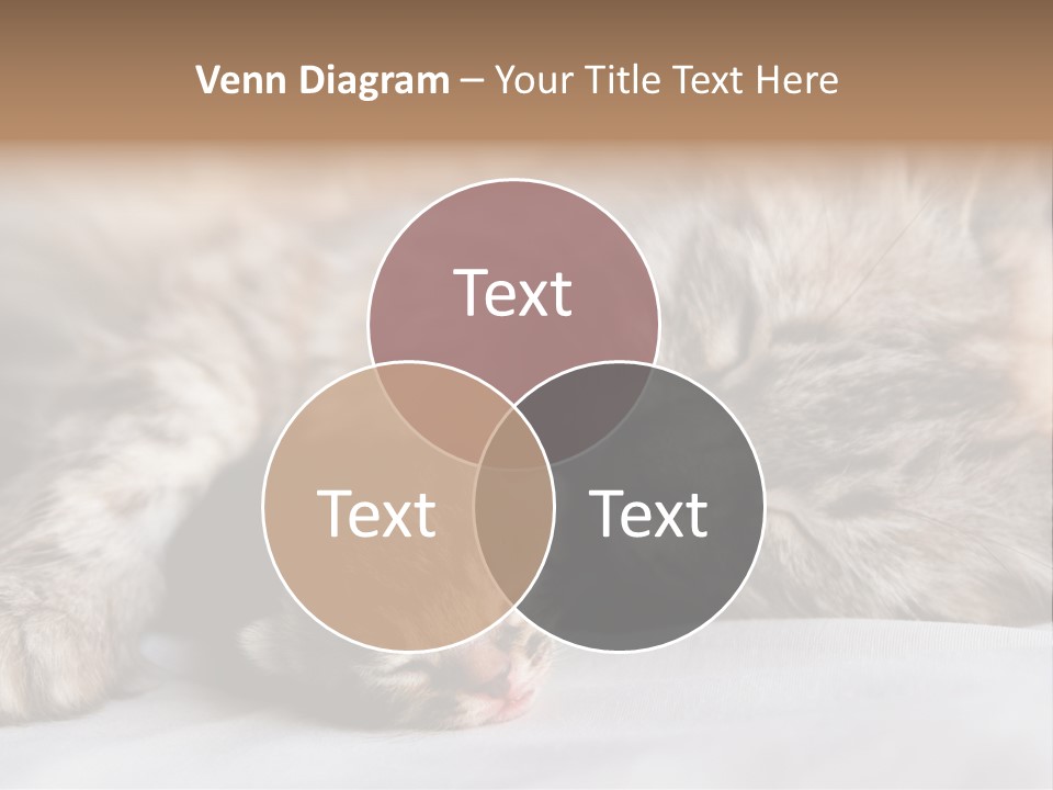Furry White Mother PowerPoint Template