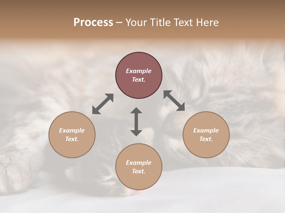 Furry White Mother PowerPoint Template