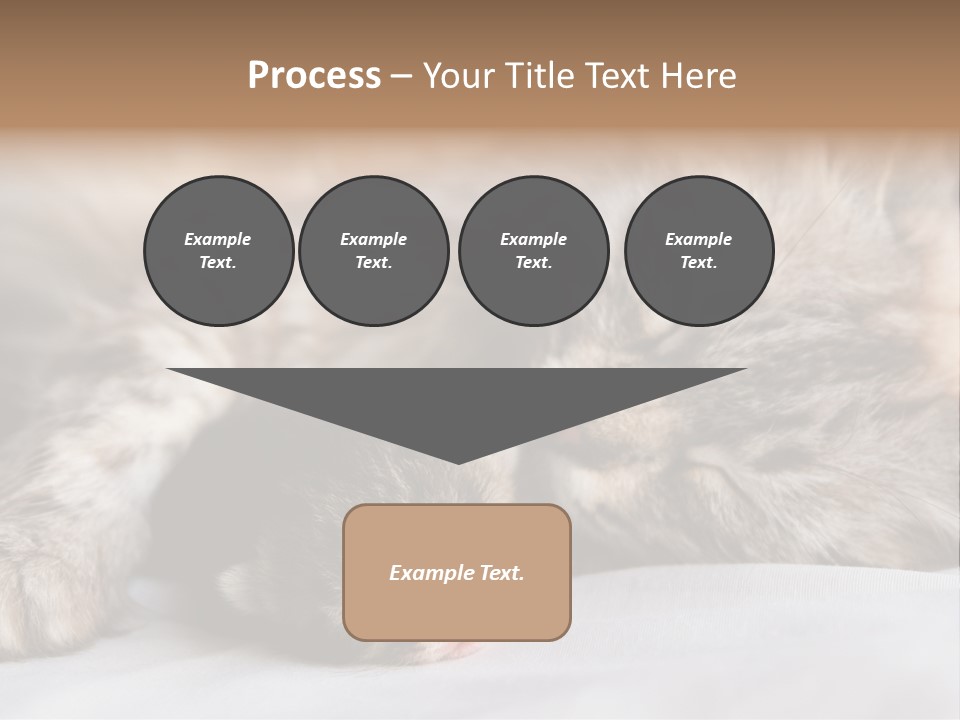 Furry White Mother PowerPoint Template
