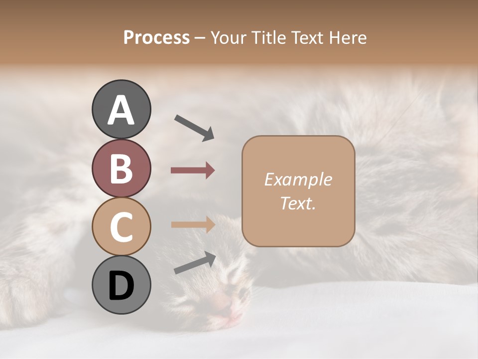 Furry White Mother PowerPoint Template