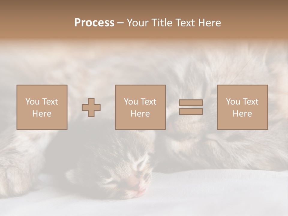Furry White Mother PowerPoint Template