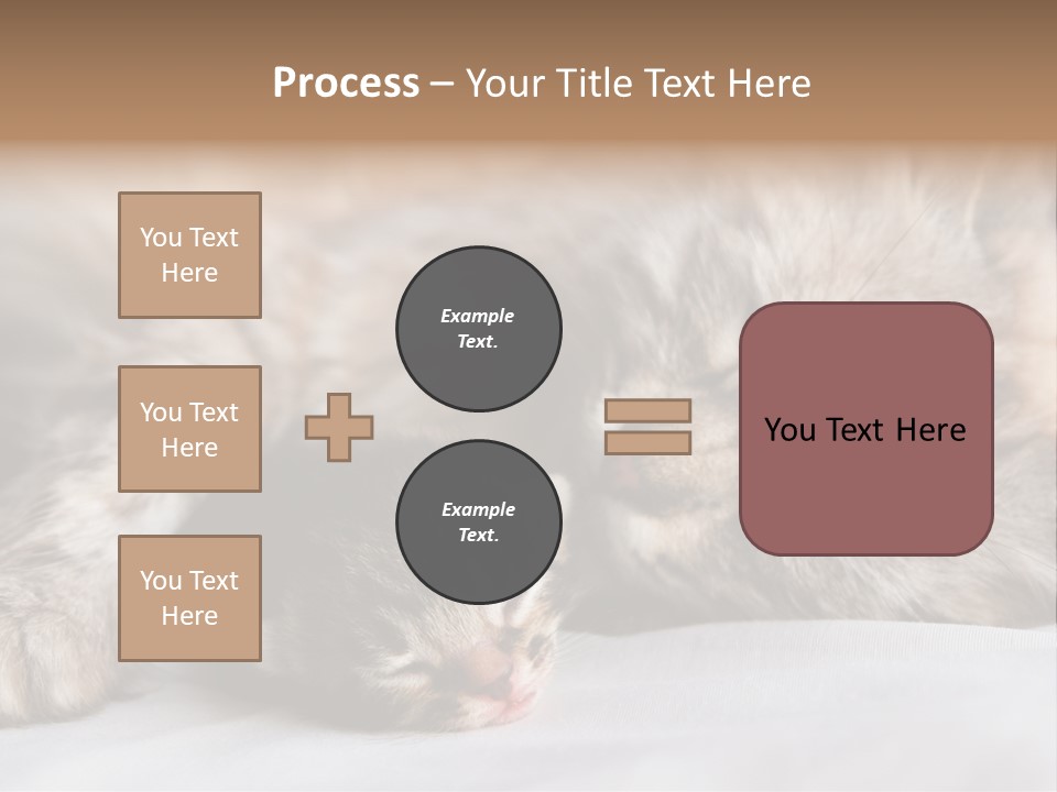 Furry White Mother PowerPoint Template