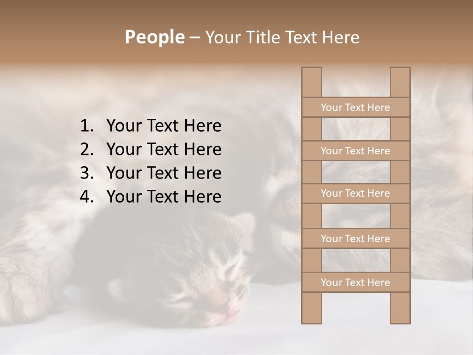 Furry White Mother PowerPoint Template