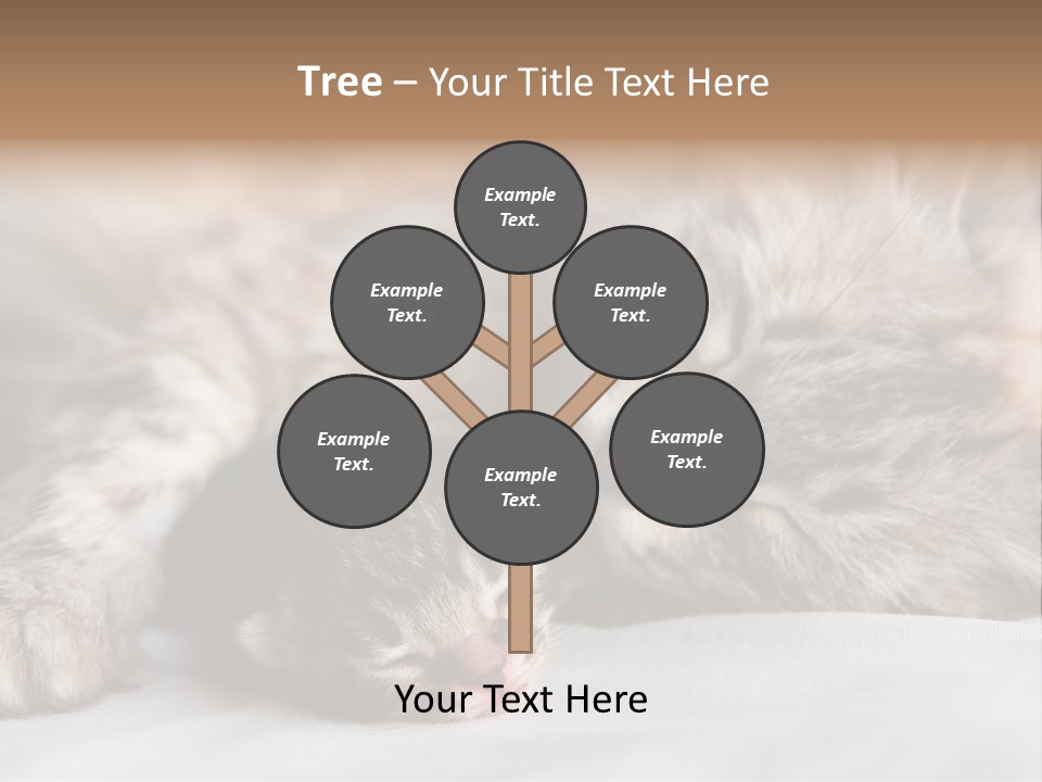 Furry White Mother PowerPoint Template