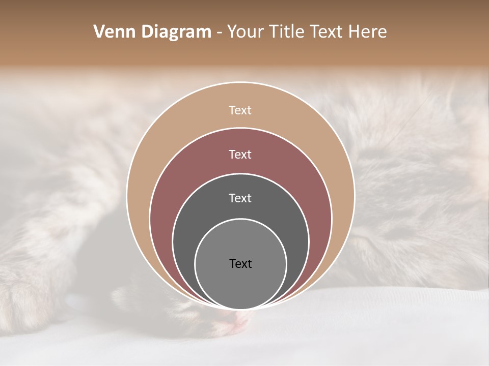Furry White Mother PowerPoint Template