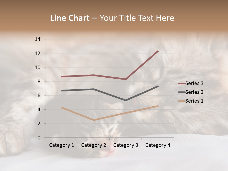 Furry White Mother PowerPoint Template