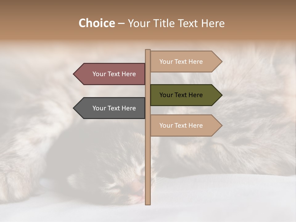 Furry White Mother PowerPoint Template