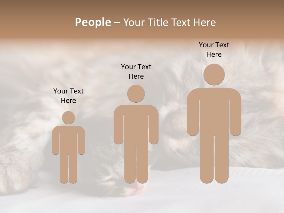 Furry White Mother PowerPoint Template