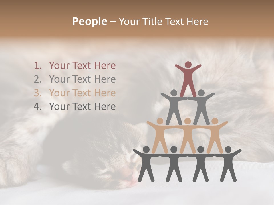 Furry White Mother PowerPoint Template
