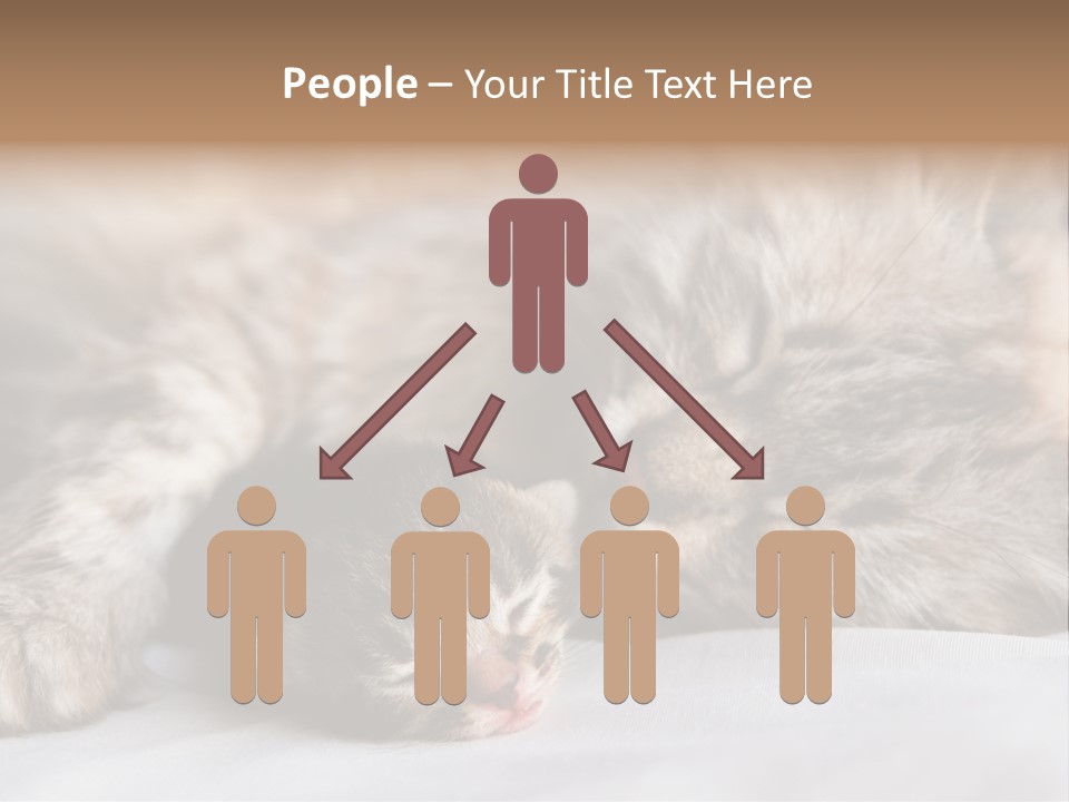Furry White Mother PowerPoint Template