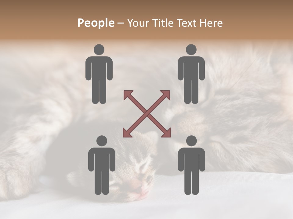 Furry White Mother PowerPoint Template