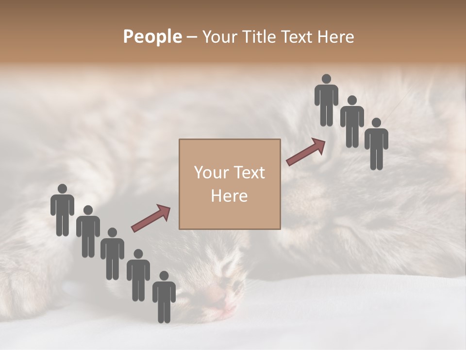 Furry White Mother PowerPoint Template