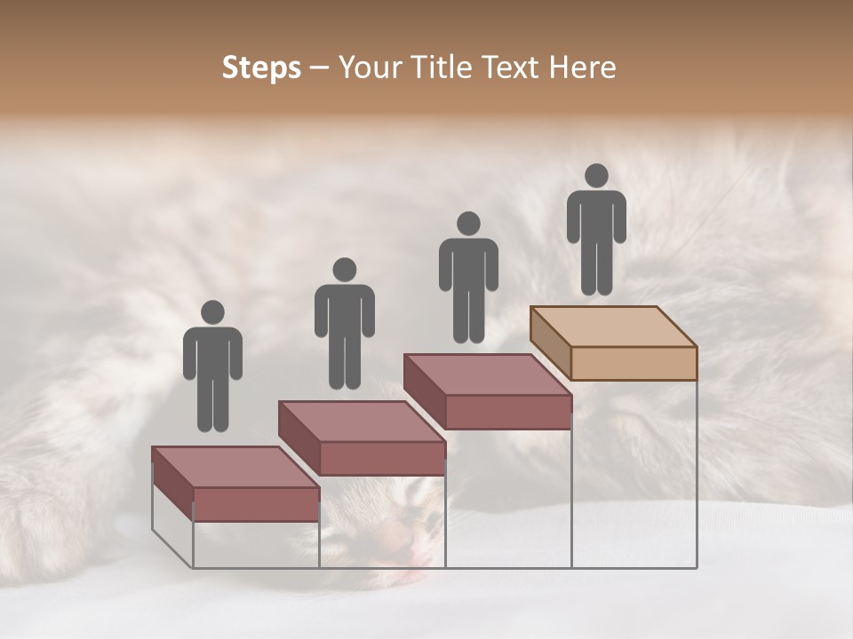 Furry White Mother PowerPoint Template
