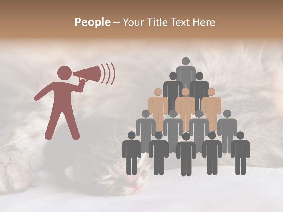Furry White Mother PowerPoint Template