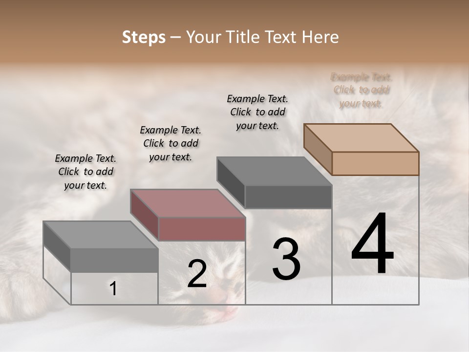 Furry White Mother PowerPoint Template