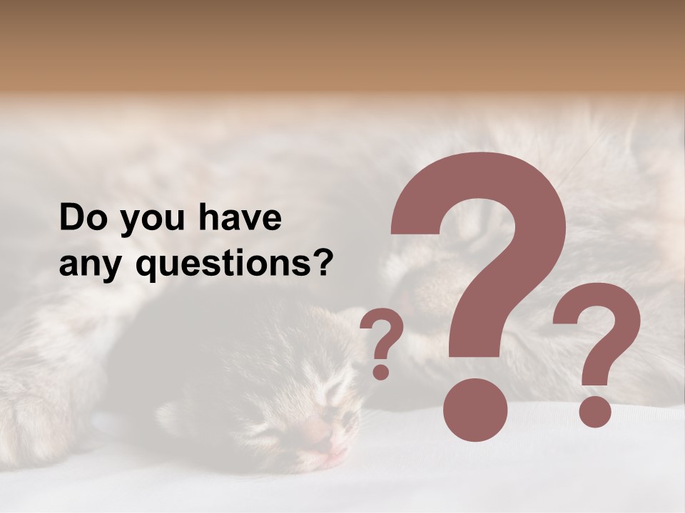 Furry White Mother PowerPoint Template