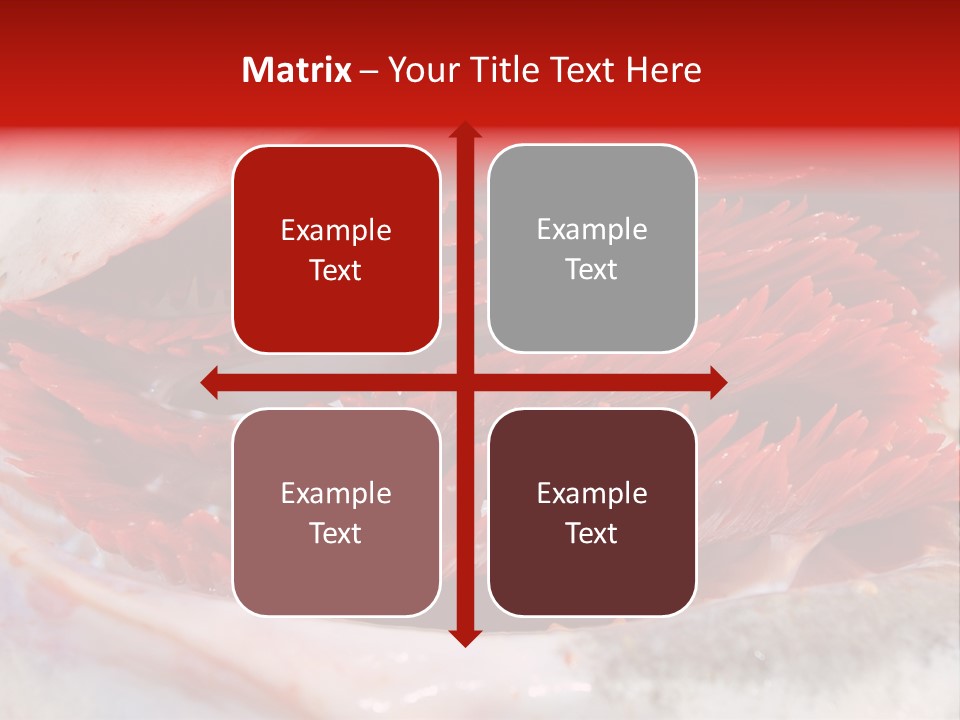 Ling Brown River PowerPoint Template