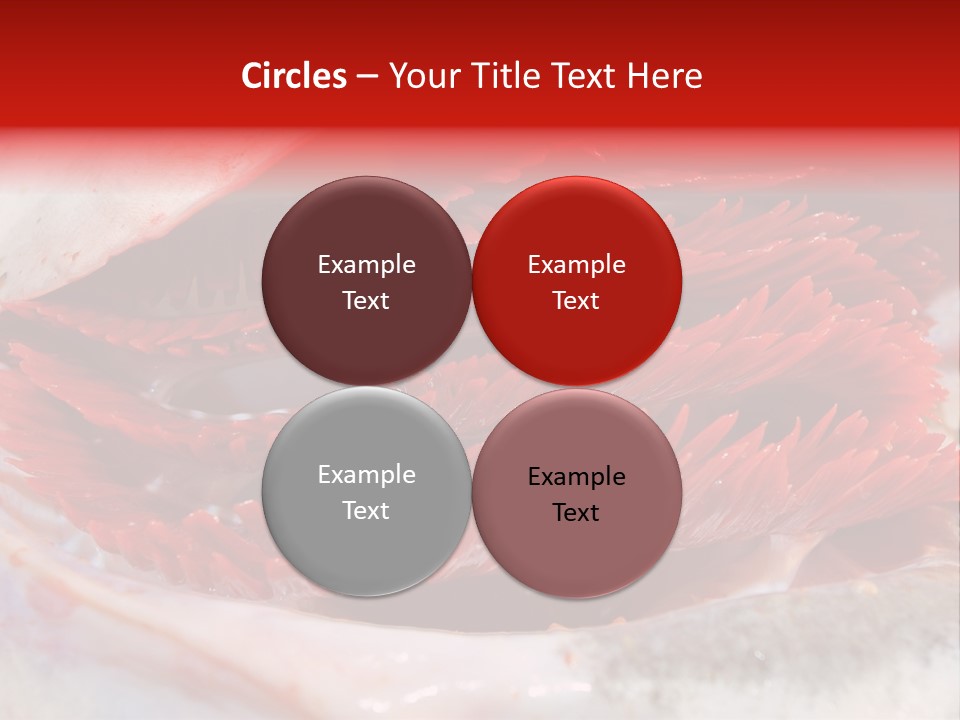 Ling Brown River PowerPoint Template