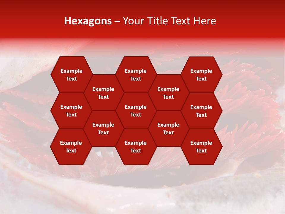 Ling Brown River PowerPoint Template