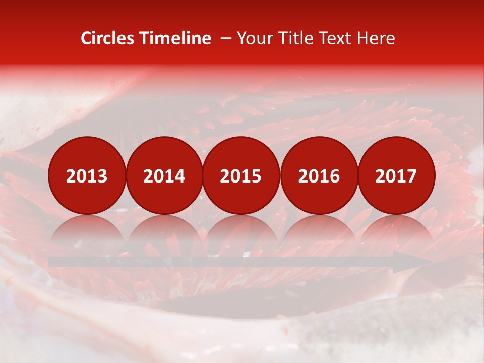 Ling Brown River PowerPoint Template