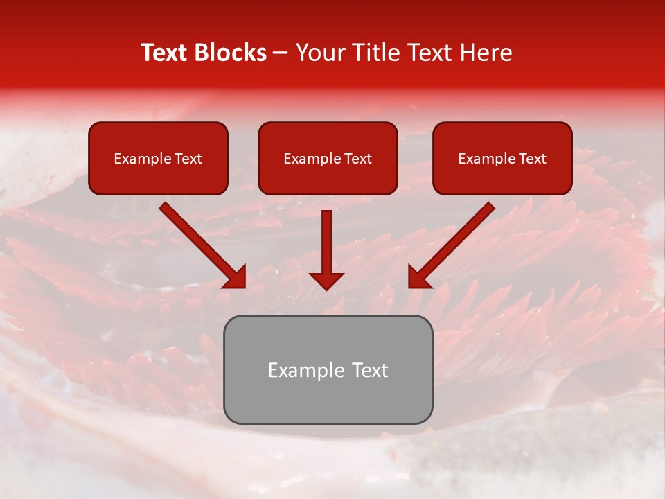 Ling Brown River PowerPoint Template
