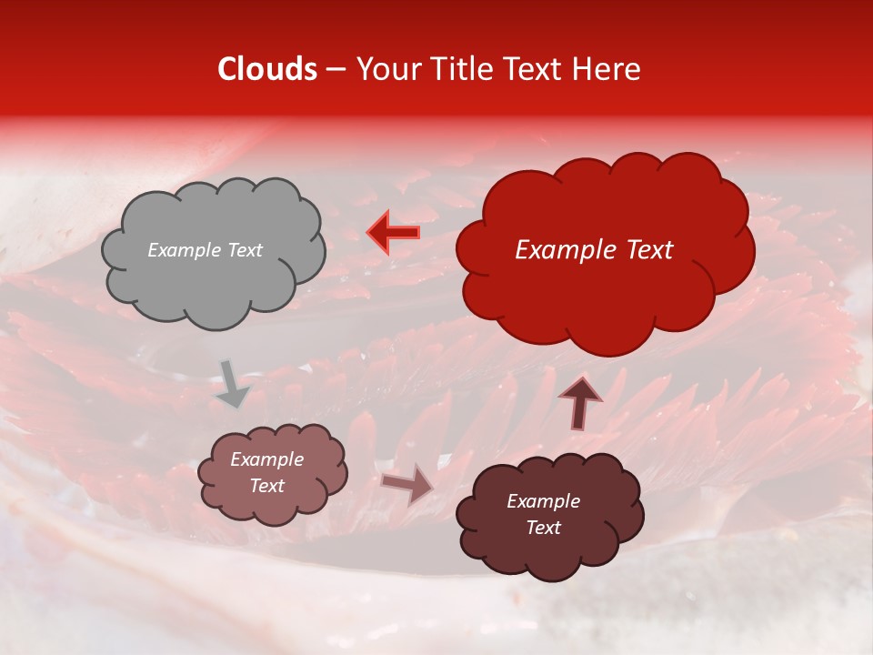 Ling Brown River PowerPoint Template