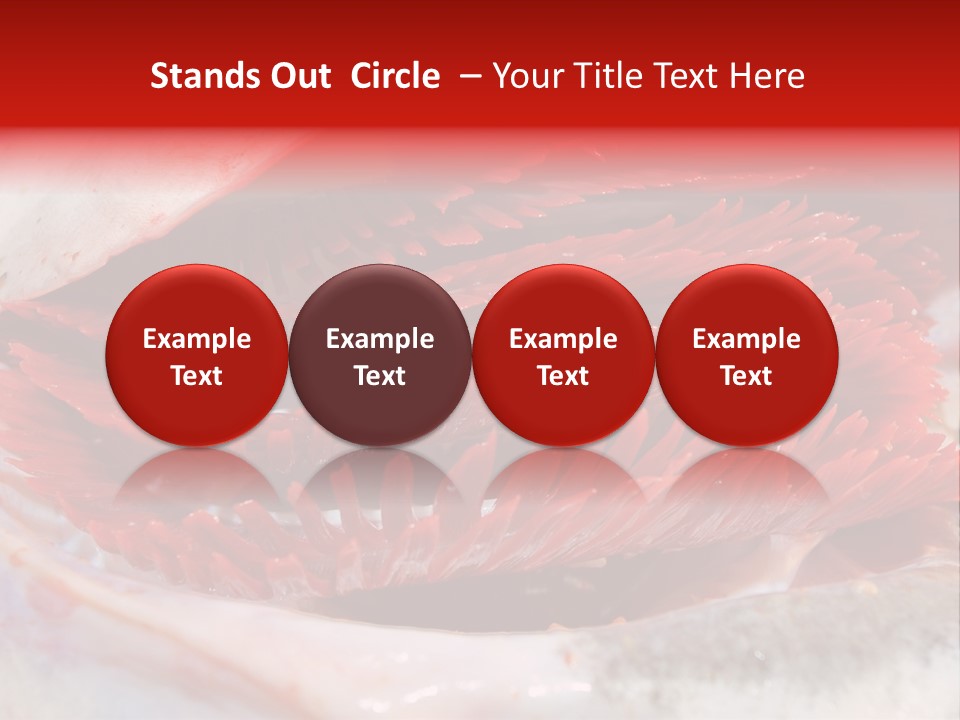 Ling Brown River PowerPoint Template